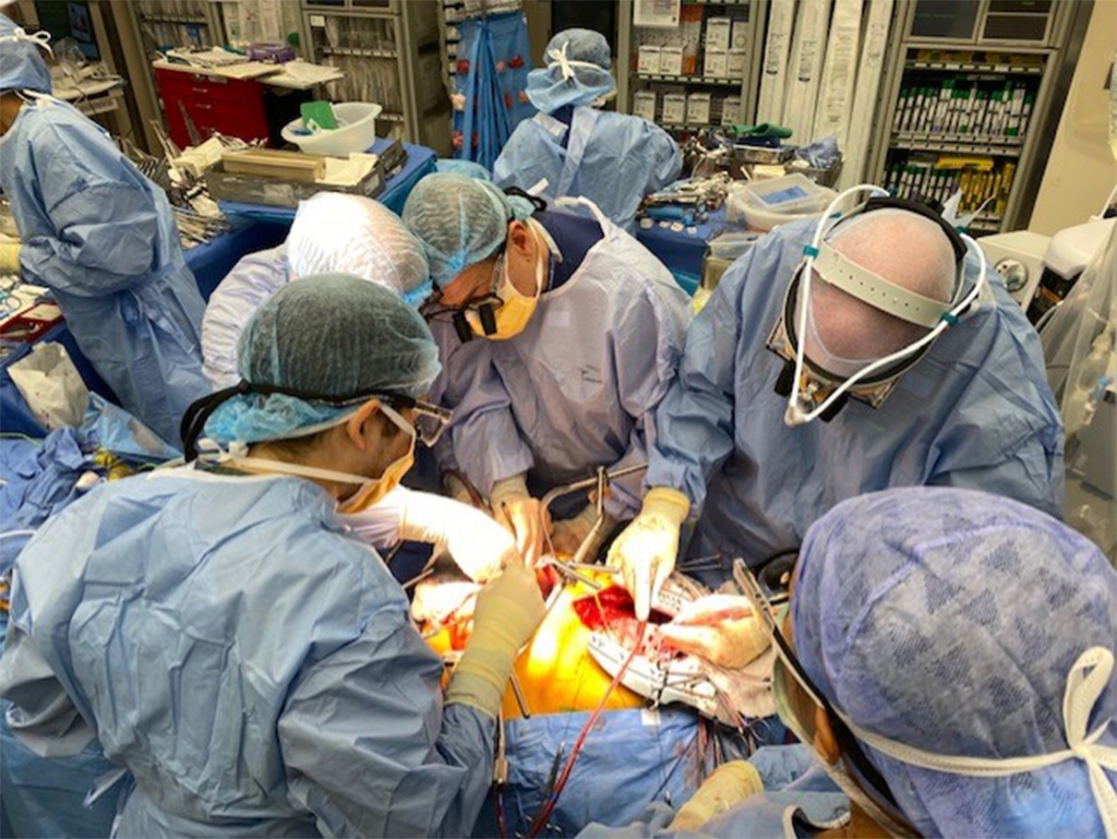 The urologist dr.  Michael Grasso, the cardiothoracic surgeon Dr.  Jonathan Hemli and vascular surgeon Alfio Carroccio operated on Bernstein in a 12-hour procedure