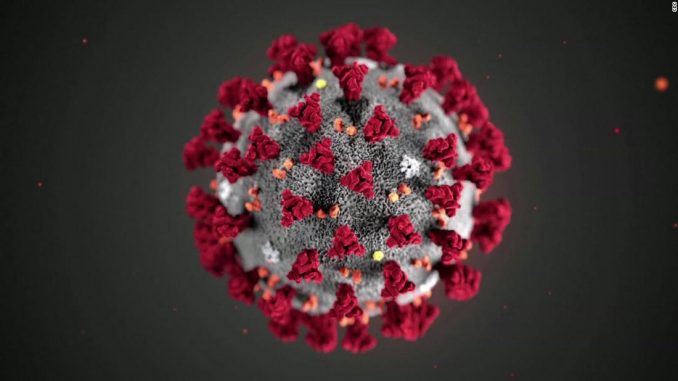 Monkeypox is not Covid. Here's why WHO describes what we know about Monkeypox virus transmission
