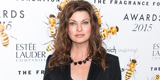 Model Linda Evangelista said she started doing it "freeze fat" Treatments in August 2015 to February 2016 and was incapacitated after the non-invasive procedures.  Pictured June 2015.