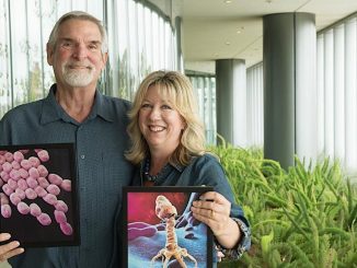 When antibiotics failed, she found a natural enemy of superbug bacteria to save her husband's life