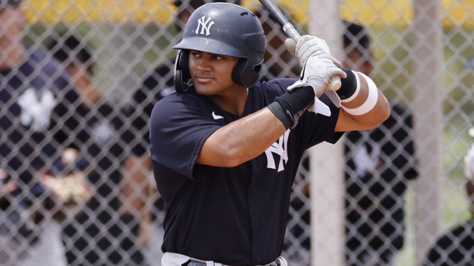 Yankees prospect Jasson Dominguez: A full recap of the first year


