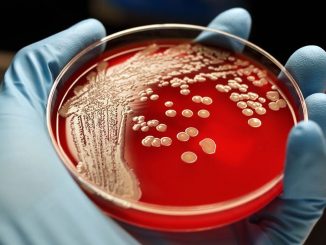 A drug that can kill antibiotic-resistant bacteria could avert the coming superbug crisis