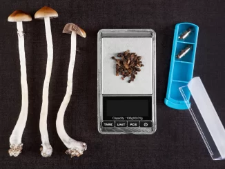 Psilocybin as a Mental Health Therapy?  Few things to know.