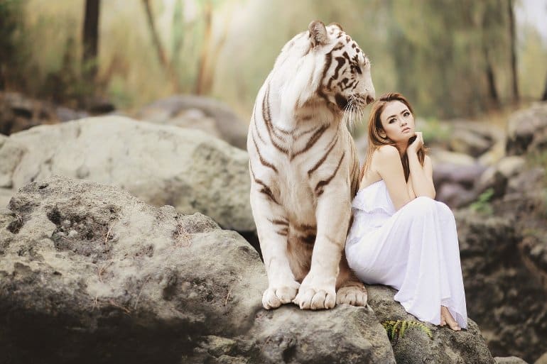 This shows a woman sitting next to a white tiger